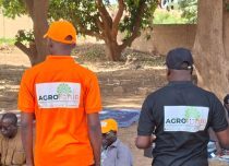 progetto Agrofutur Niger 