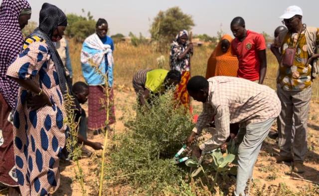 agricoltori e agricoltrici burkina faso