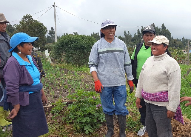 produzione agricola in Ecuador
