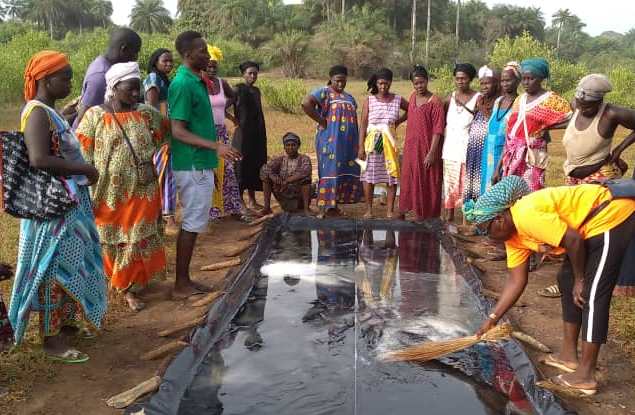 formazione progetto guinea bissau