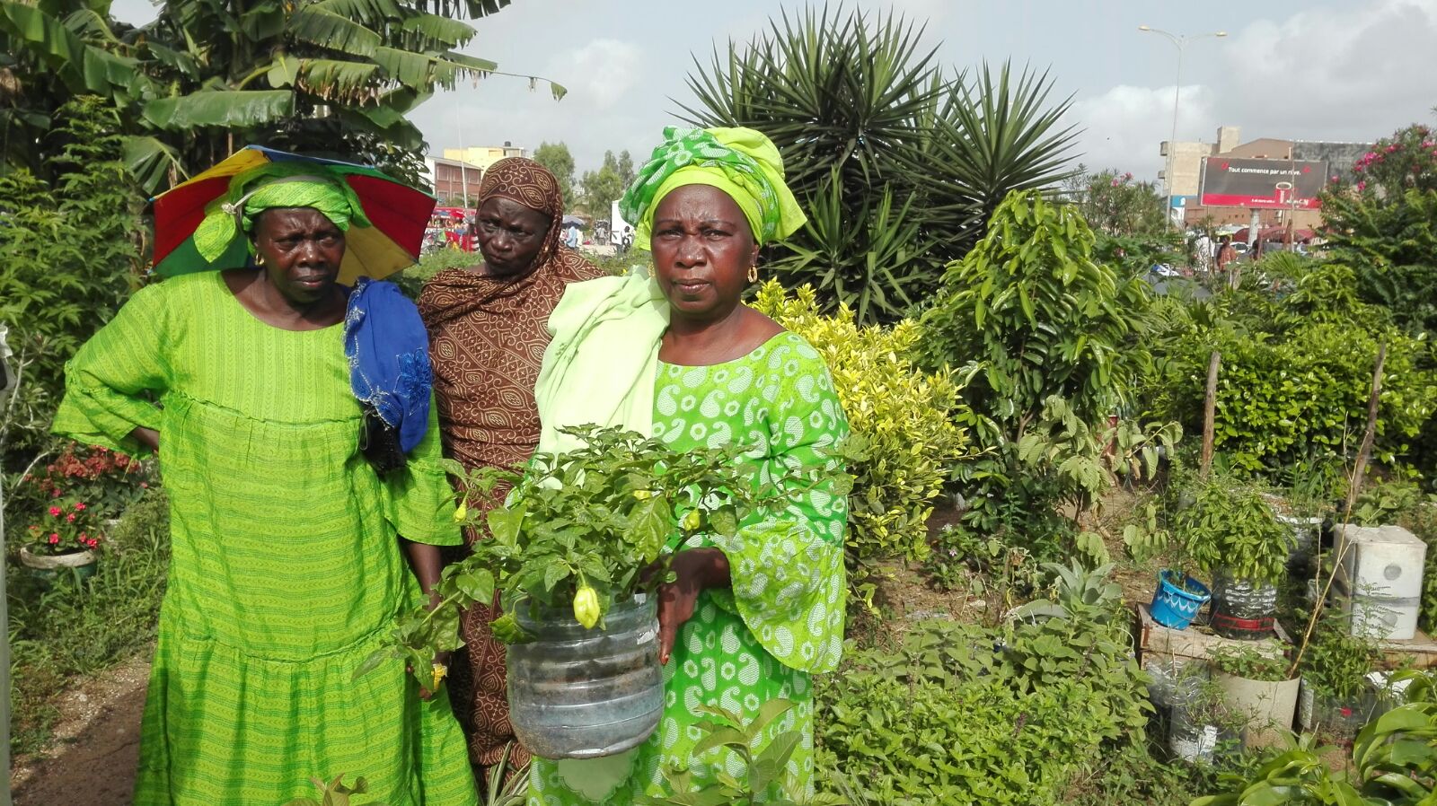 agricoltrici senegal